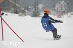 Dualsnow